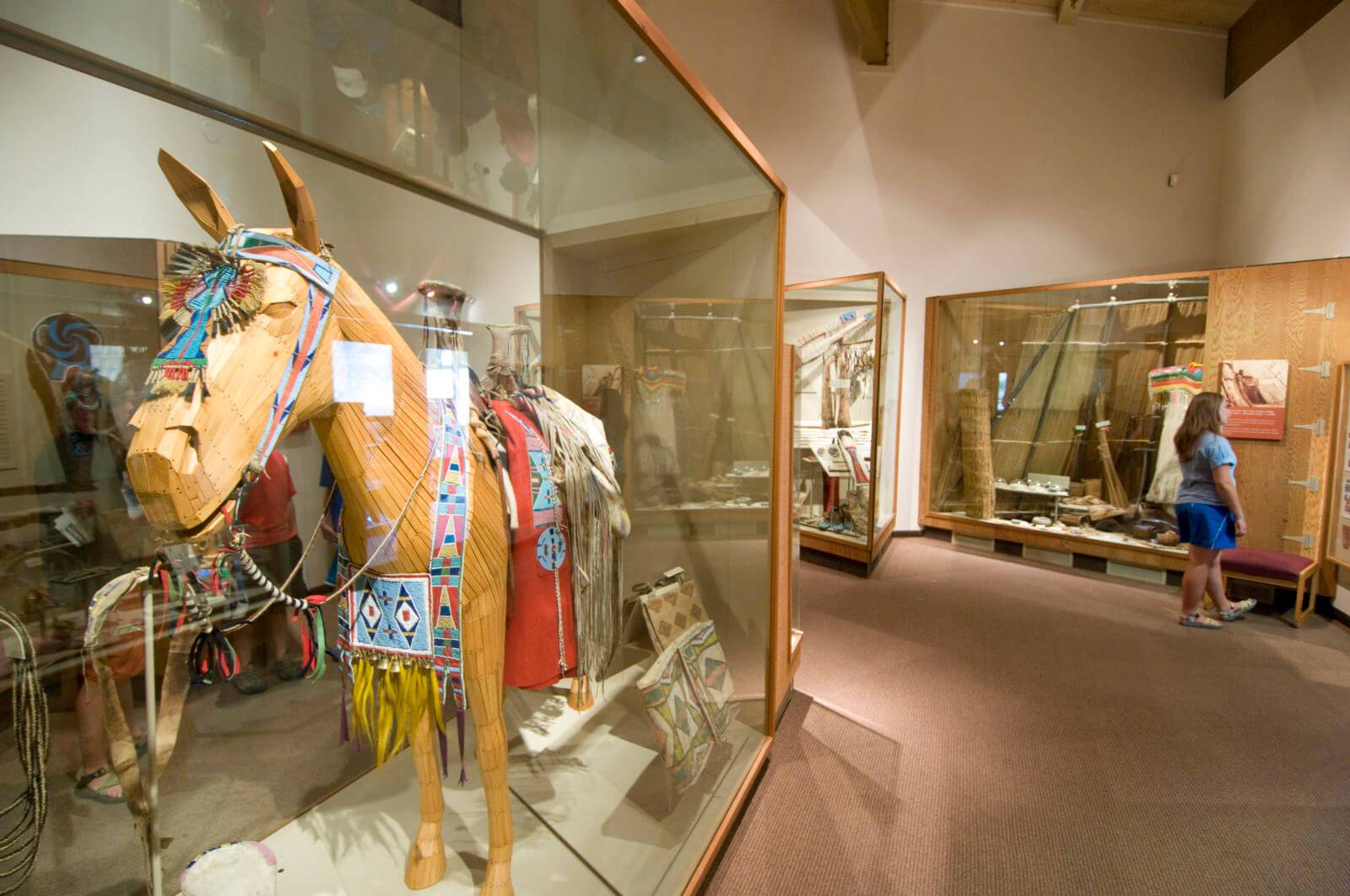 a museum display of a native horse