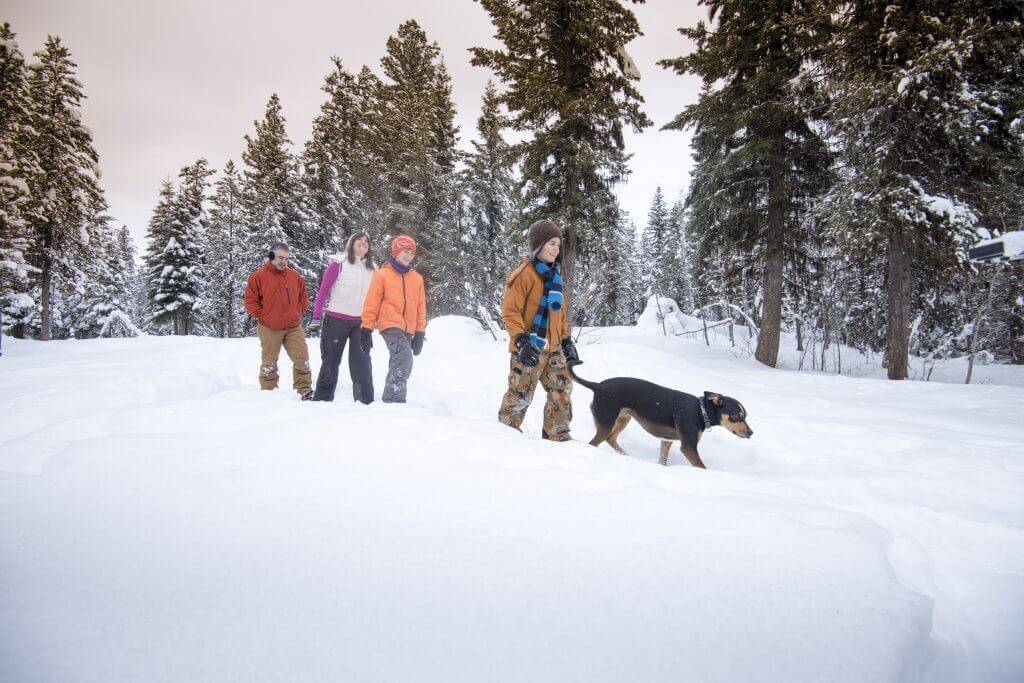 A group of people snowshoeing with their dog through a snow-covered landscape in McCall surrounded by trees.