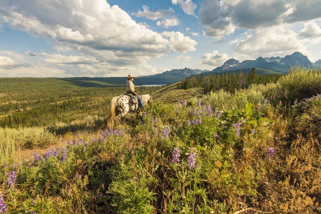 A woman riding a horse through a field of wildflowers, and the Sawtooth Mountains and Redfish Lake in the distance.