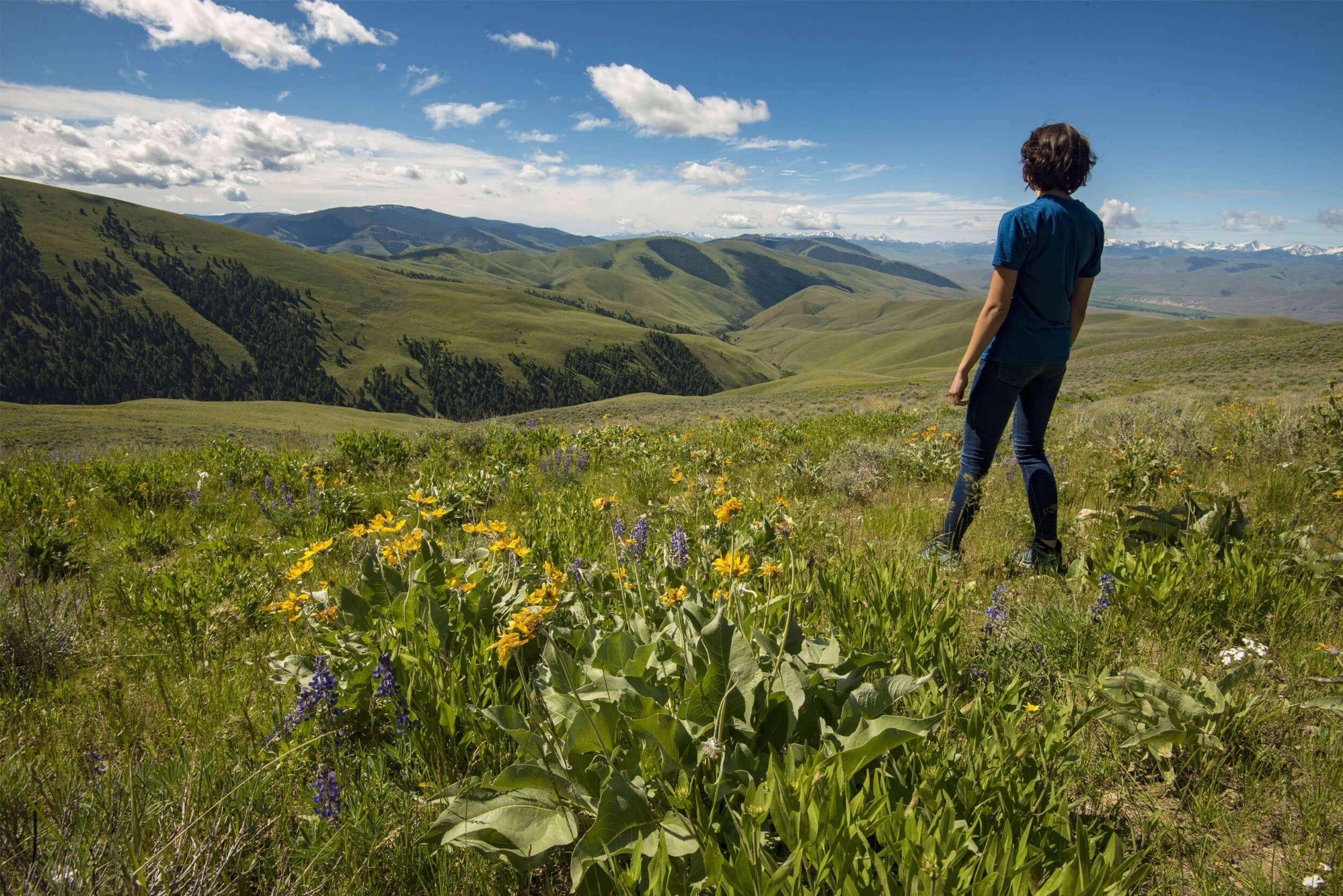 A person looks out over the rolling scenery of the Lewis and Clark Backcountry Byway.