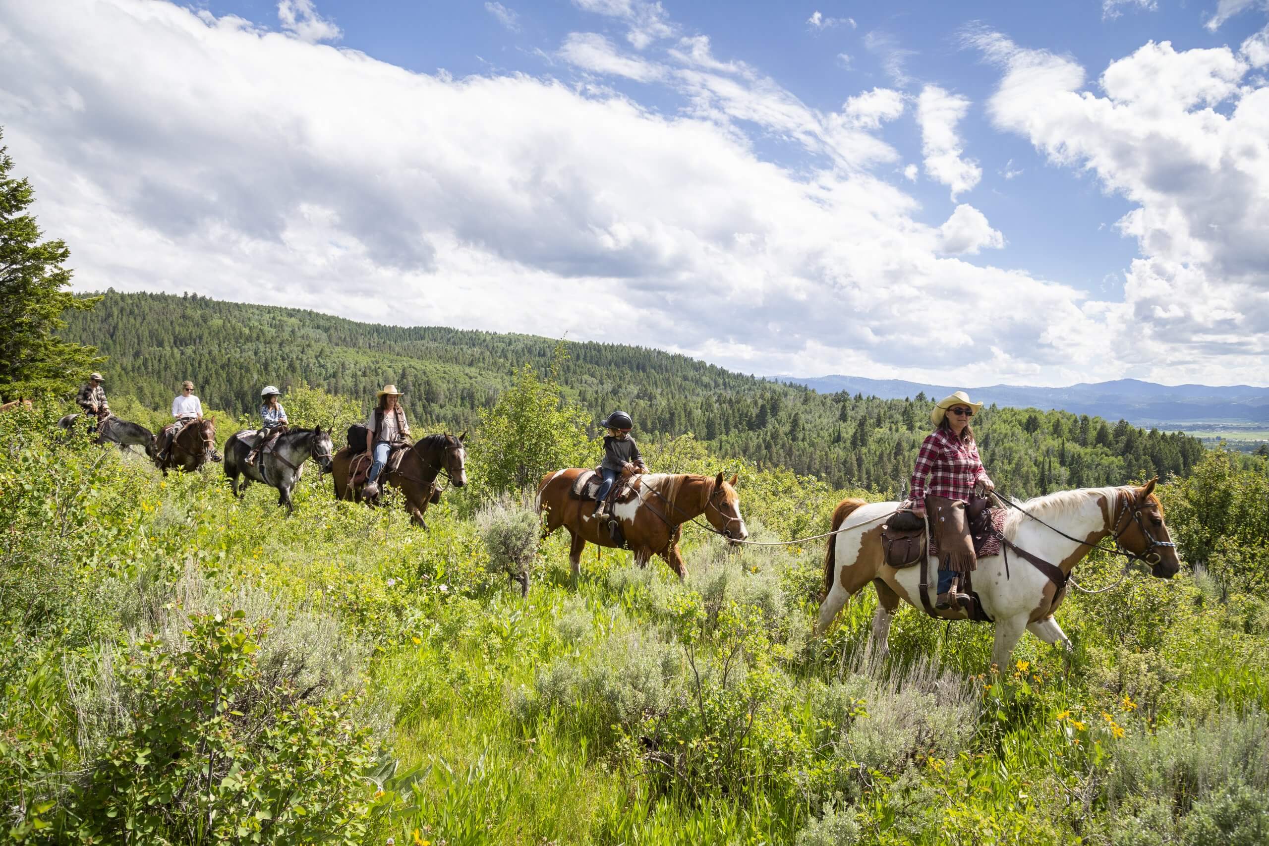 A family horseback riding in a green valley.