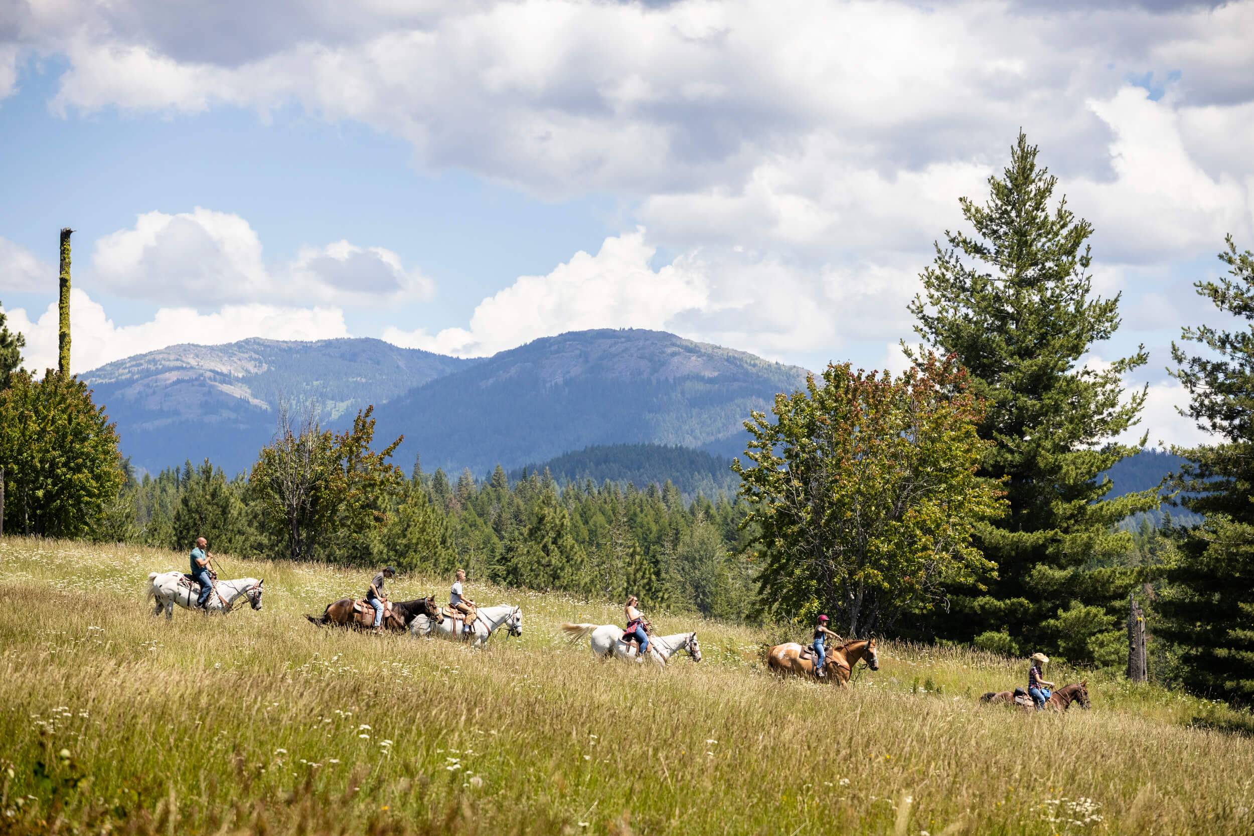 Six people ride horses through a meadow.