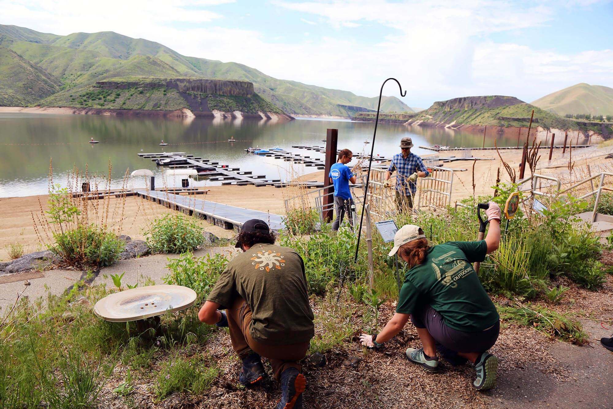 A group of people gardening amidst tall plants at a Travel With Care event and a beach, docks, body of water and mountains in the background.
