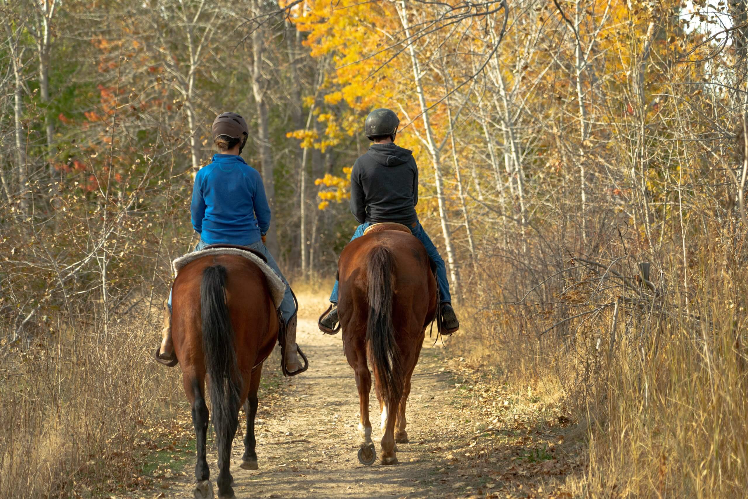 Two people ride horses during the fall season at Eagle Island State Park.
