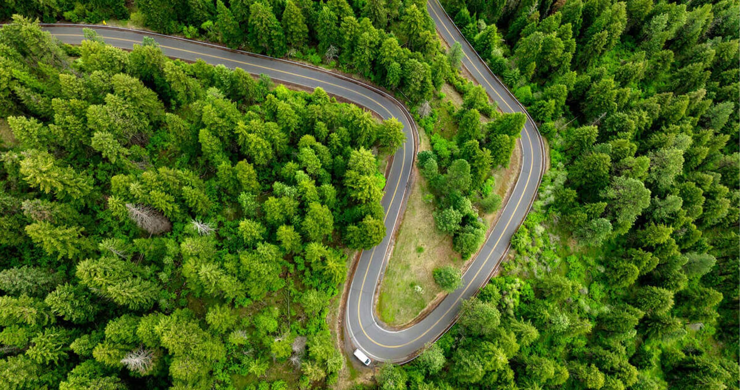 A winding road in a forest of trees from above.