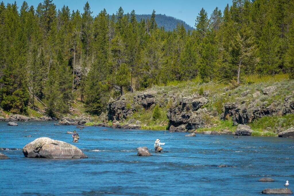 People fly-fishing on the Henry's Fork of the Snake River from the nearby Riverside Campground.