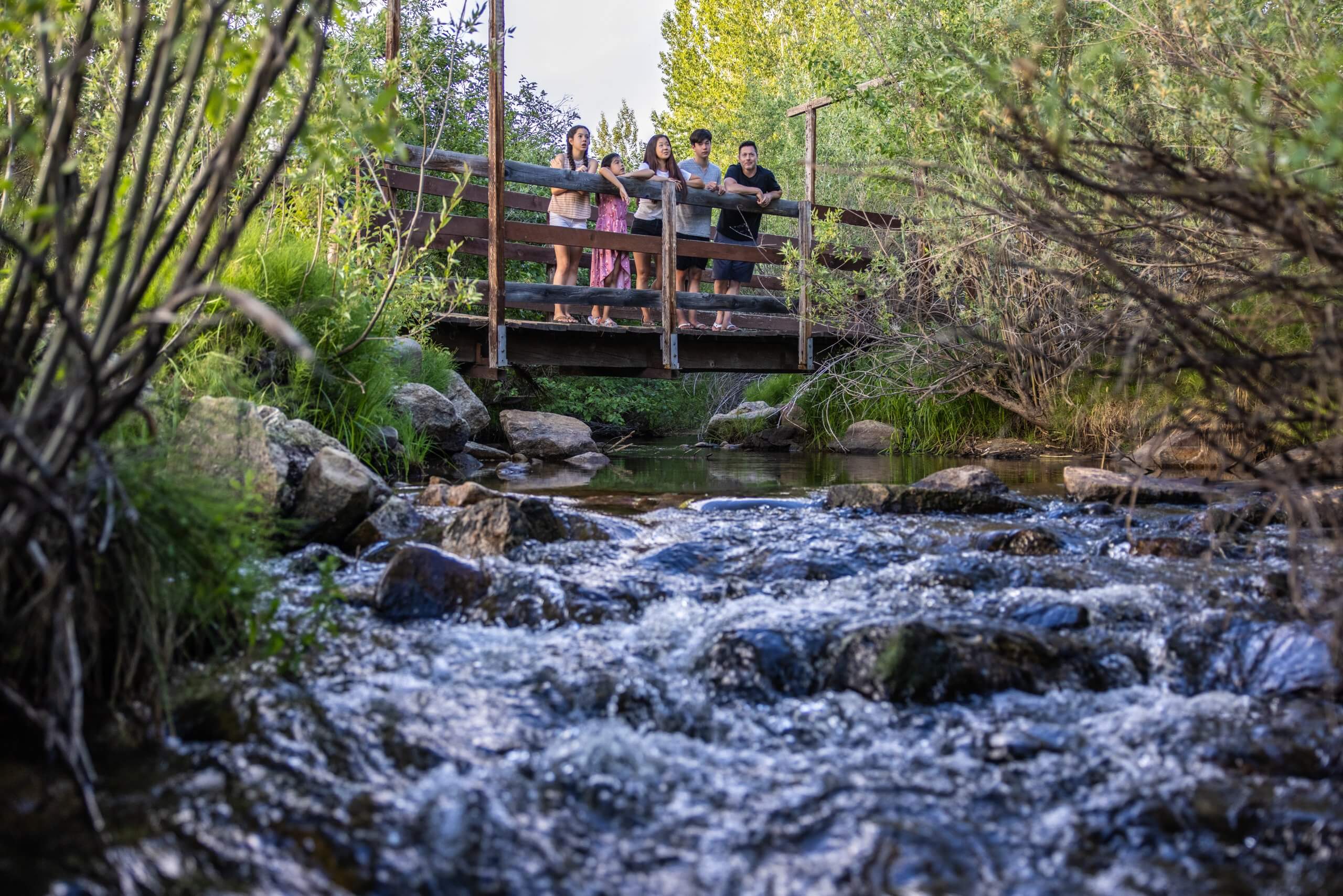 A group of people standing on a wooden bridge crossing a river in a forest, along the Buena Vista Trail.