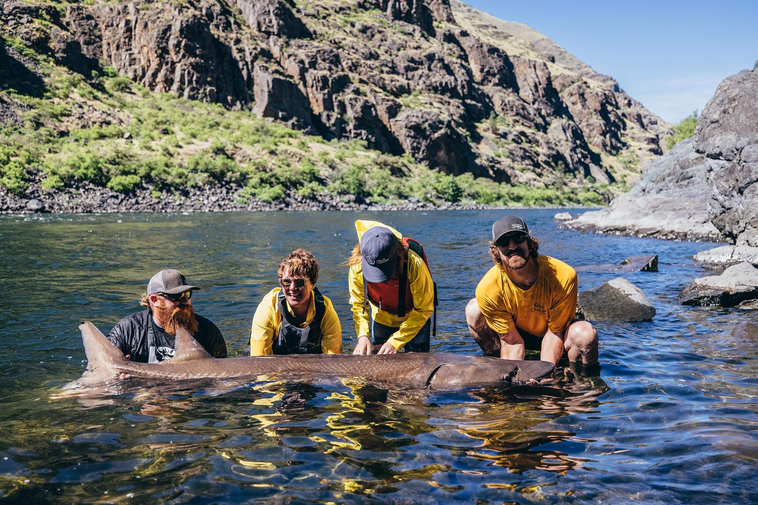 four people standing in a river holding up a Sturgeon fish