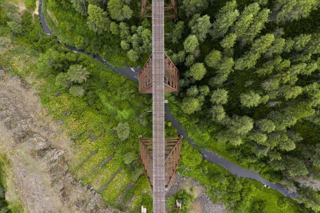 an aerial view of a raised, wooden railway over evergreen trees