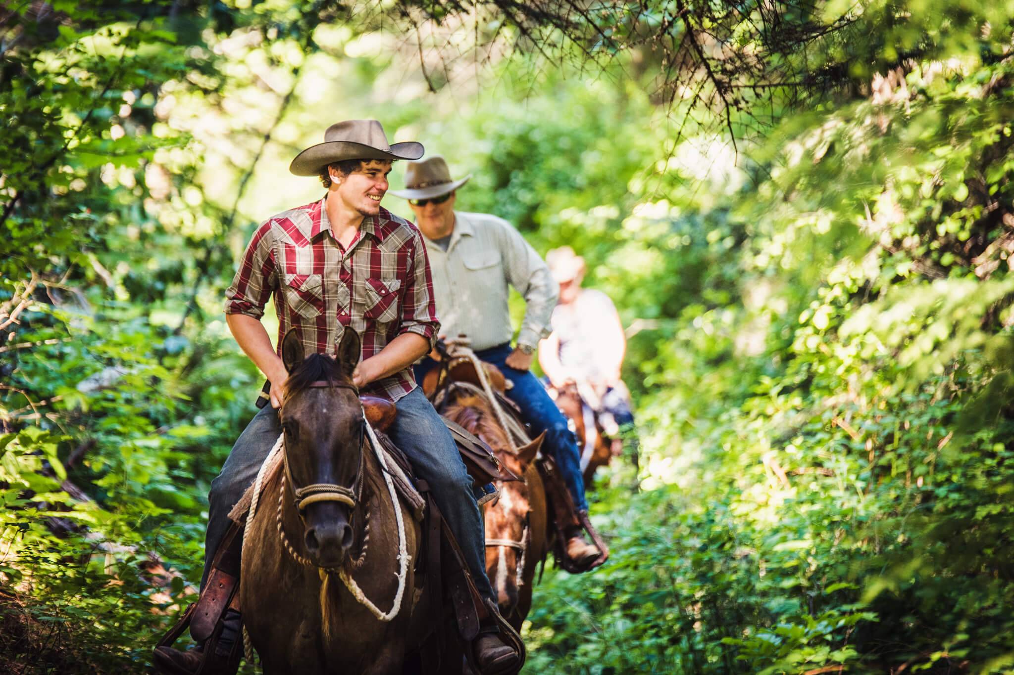 A group of people ride horses on a trail lined with trees.