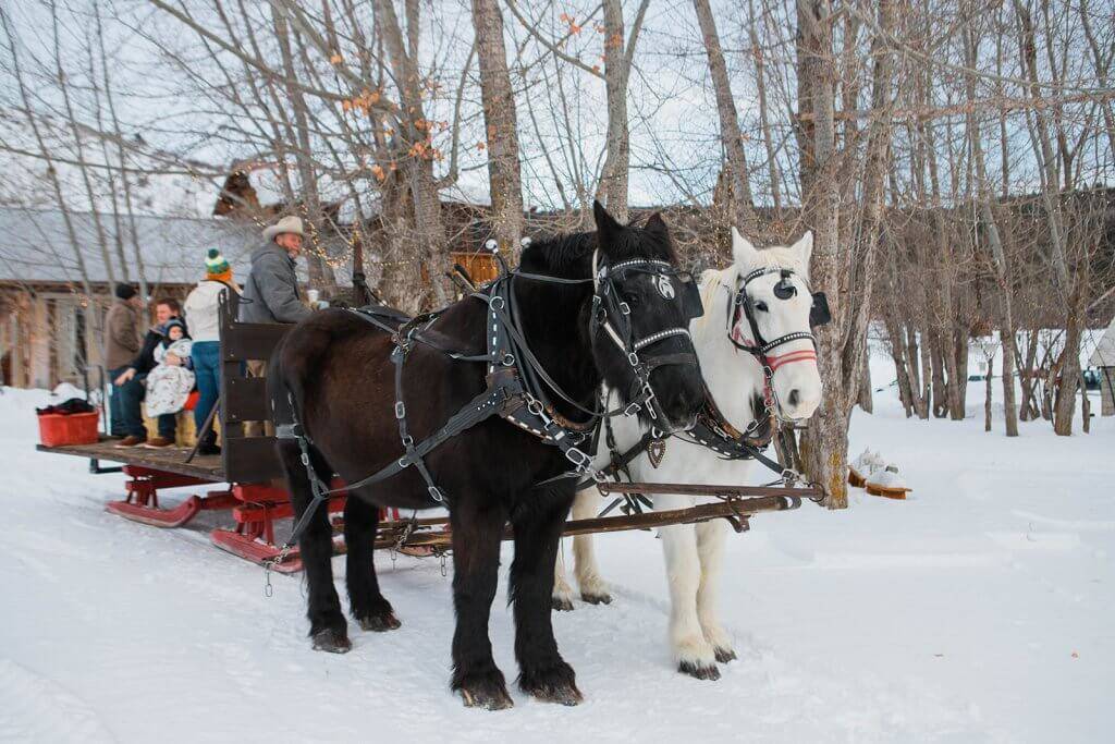 two horses hooked up to red sleigh with people in back