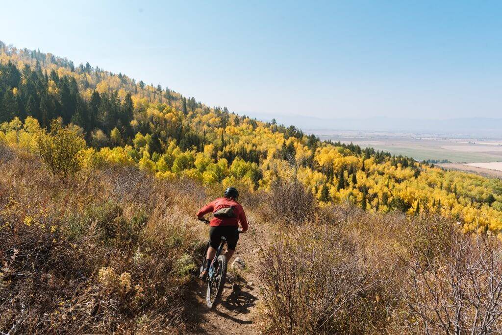 solo mountain biker riding trail with fall colors in background
