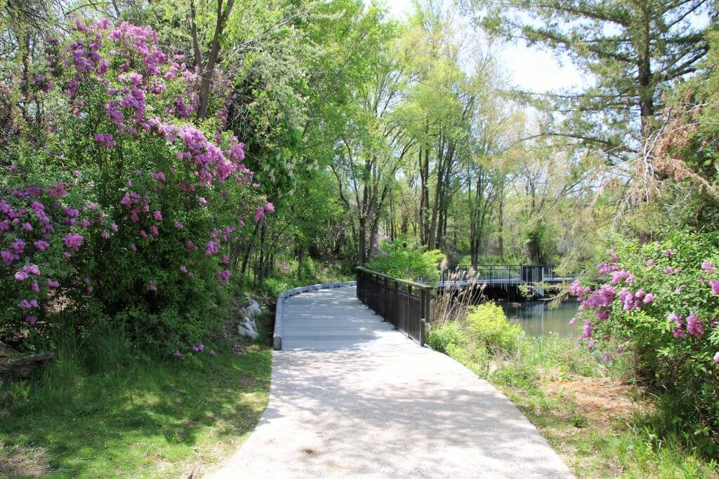 A paved path leading to a bridge surrounded by purple and pink flowers and shrubbery in a city park.