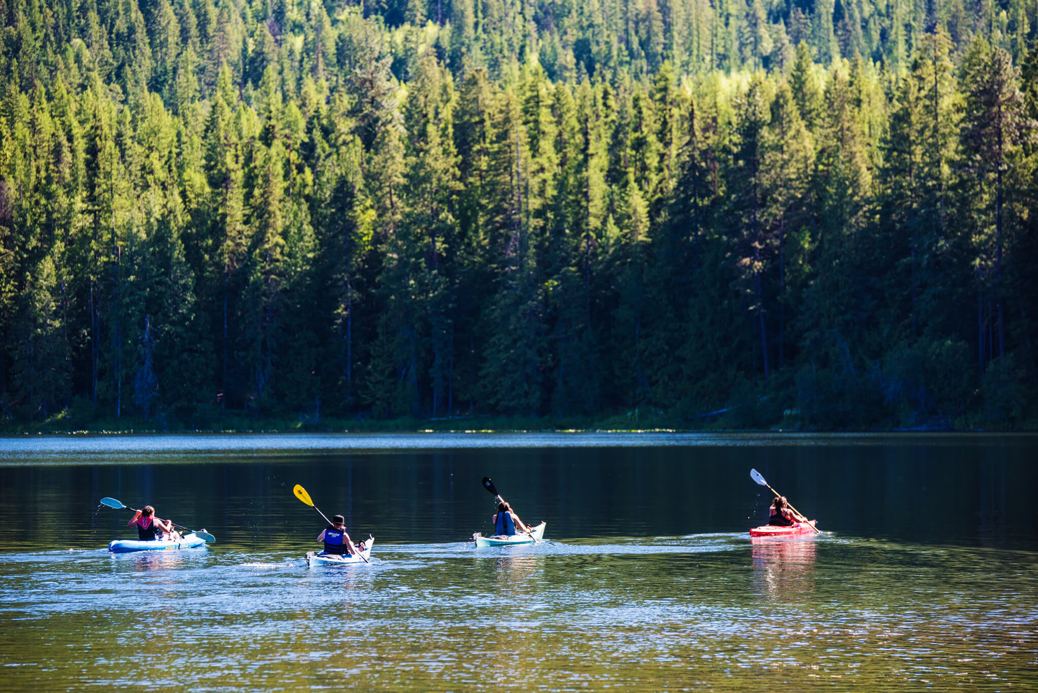 A group of people paddling kayaks on Round Lake, and a forest of tall trees in the background.