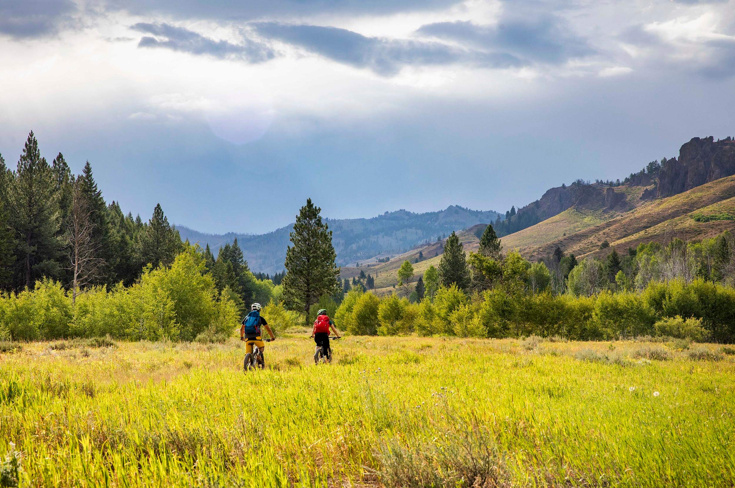 two people ride bikes through a meadow in Ketchum, Idaho