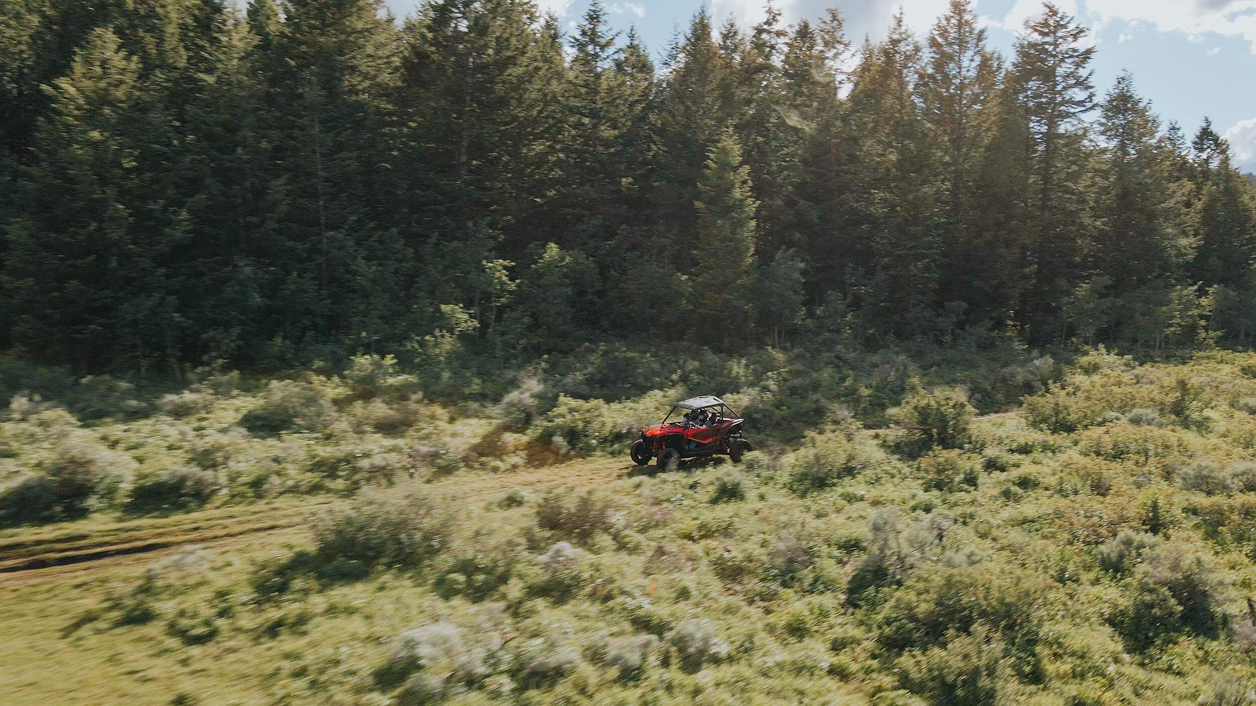 a red atv zooms along a trail surrounded by evergreen trees and green grass