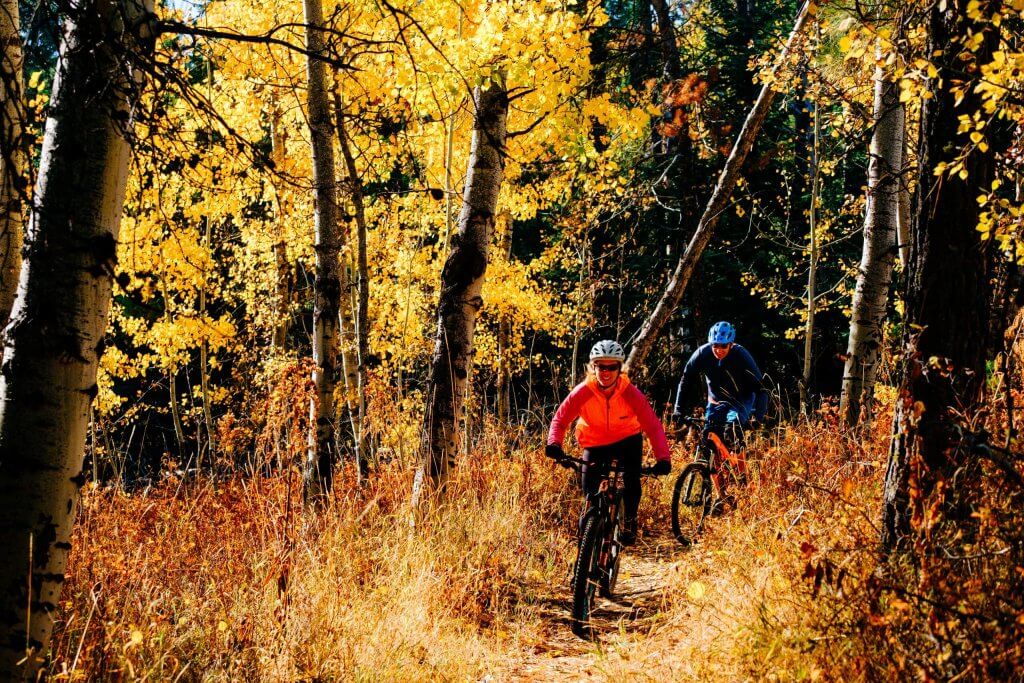 Two mountain bike riders on a dirt path with gold aspens on the left hand side.