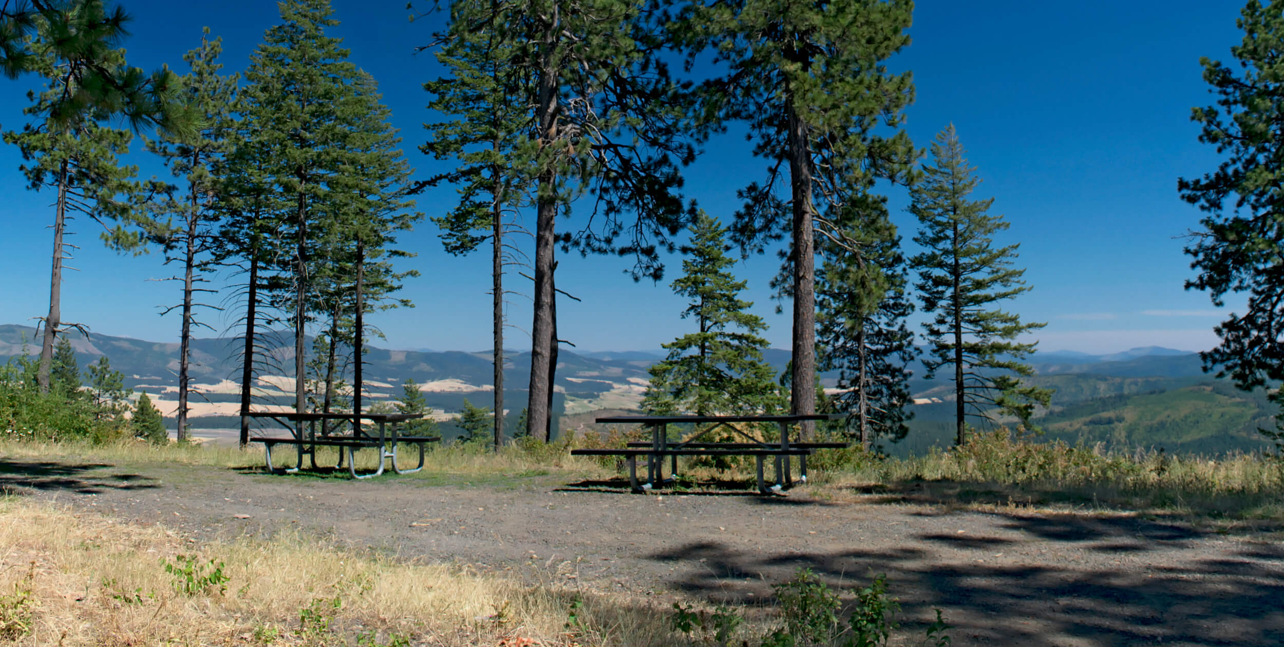 Picnic tables at McCroskey State Park.