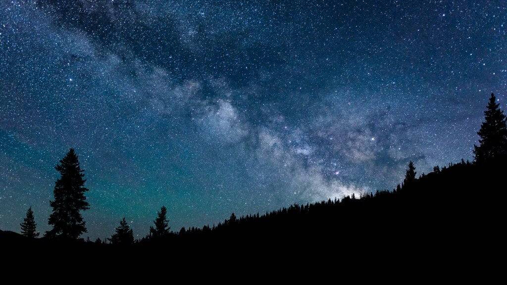 A view of the Milky Way and tree silhouettes at the Central Idaho Dark Sky Reserve.