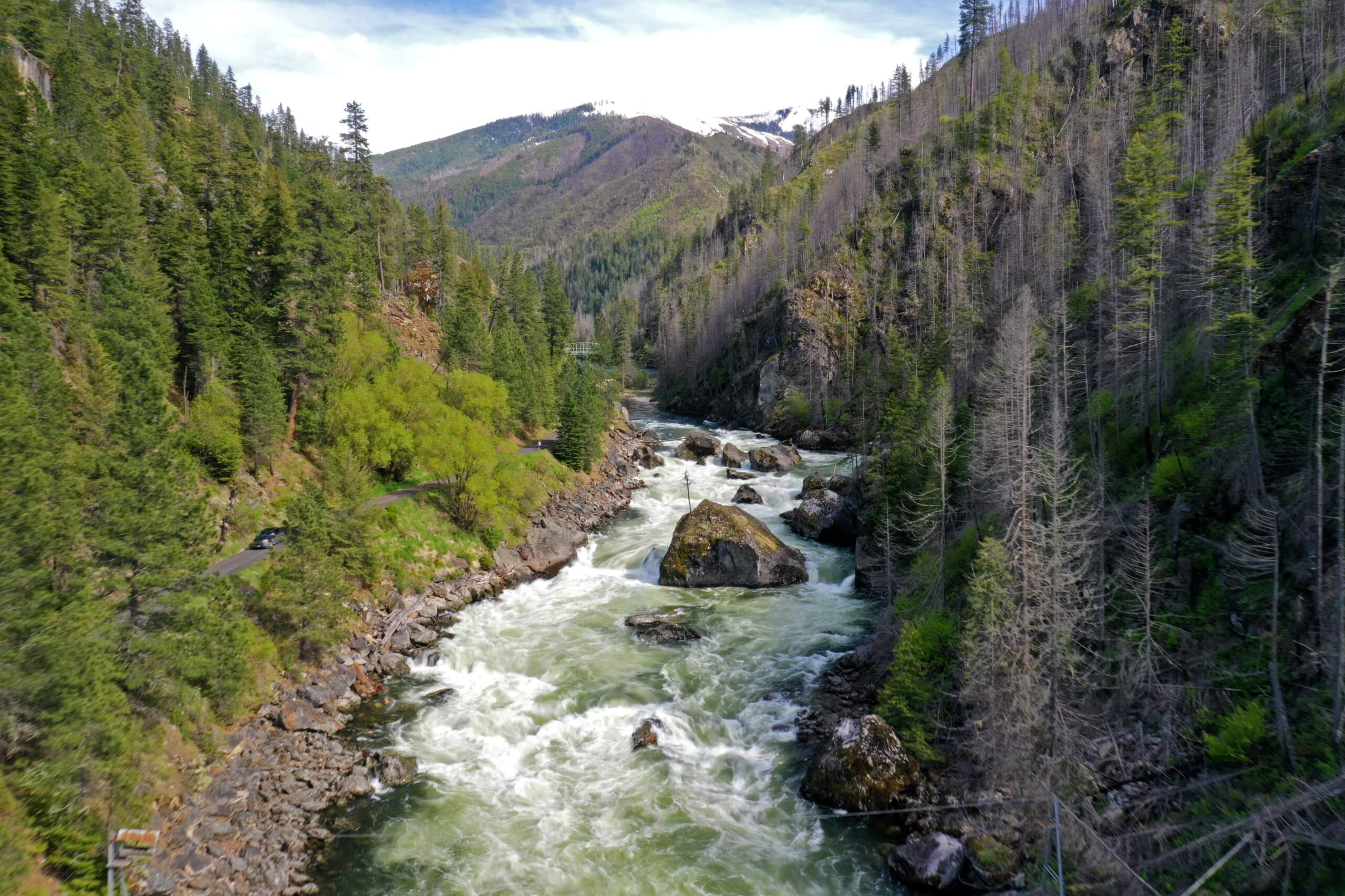 The rushing Selway River surrounded by tree-covered mountains.