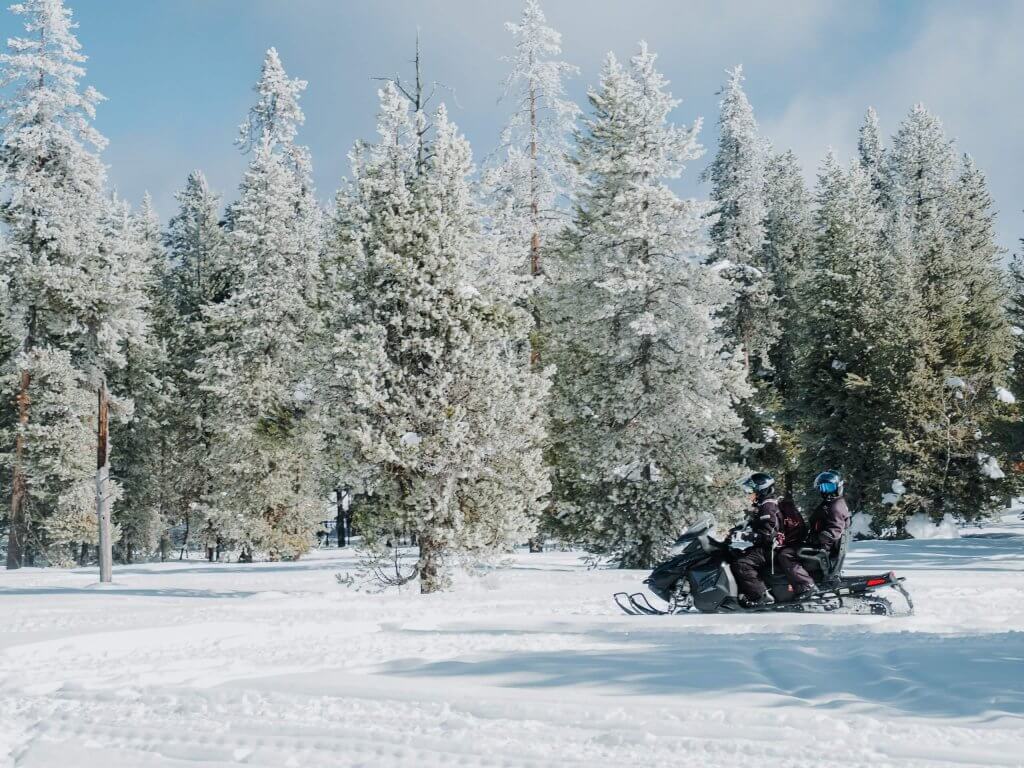 A group of people snowmobiling through the Caribou-Targhee National Forest past snow-covered trees.