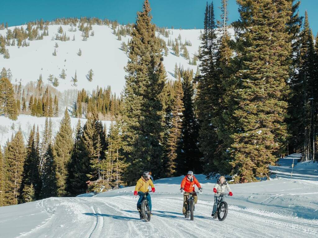 three people riding fat tire bikes on snowy path surrounded by large trees