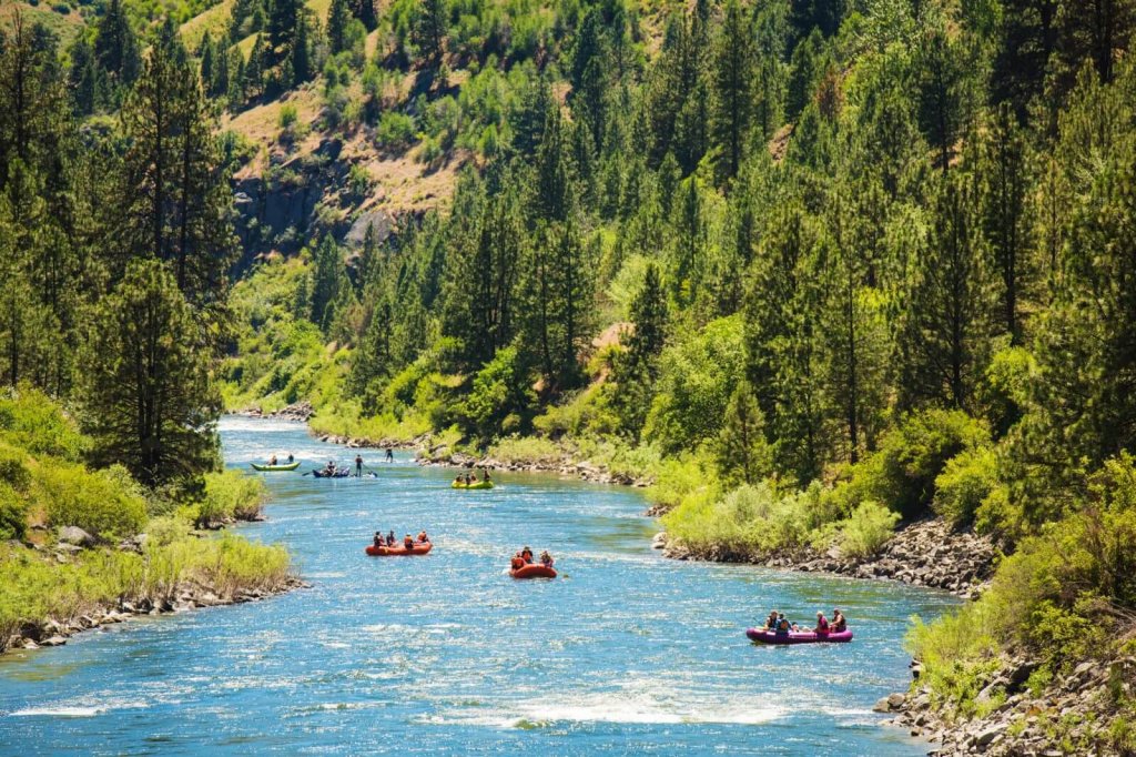 Groups of people rafting on the Main Payette River surrounded by forested, mountainous terrain.