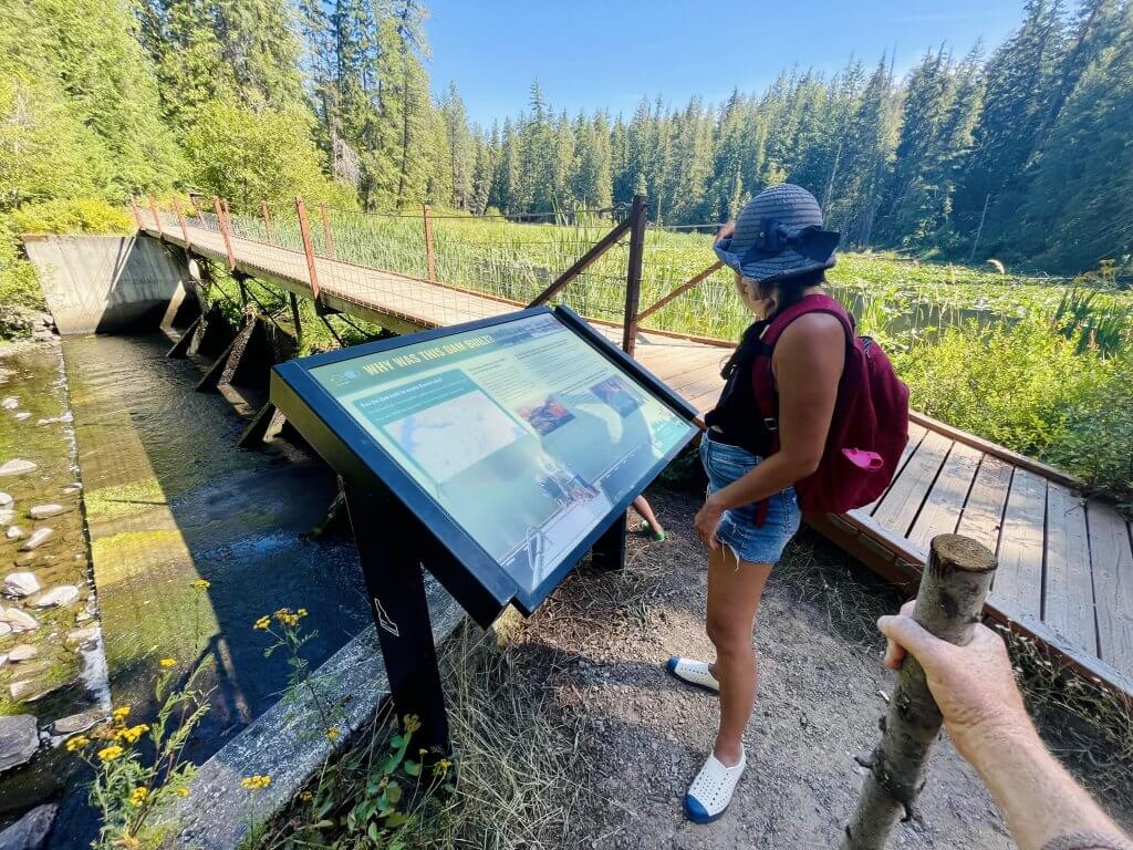 A woman wearing a backpack is looking at an interpretive sign on the Trapper Trail at Round Lake State Park. 