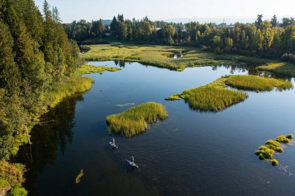 An aerial view of two people on paddleboards in large marsh area surrounded by forest.