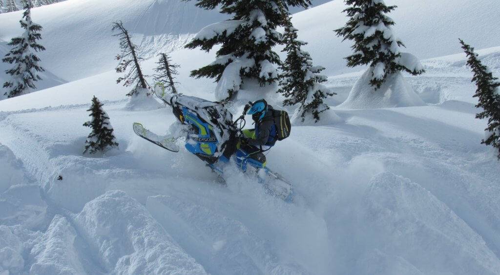 Snowmobiler charges through deep powder with snow covered trees in the background.