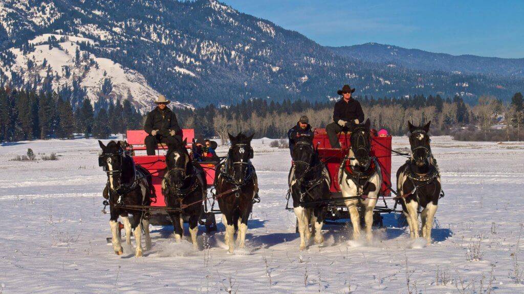 Two red horse-drawn sleighs a snowy meadow.