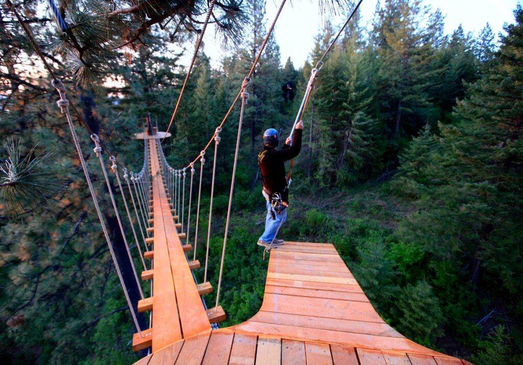 Timberline Adventure's swinging bridge.