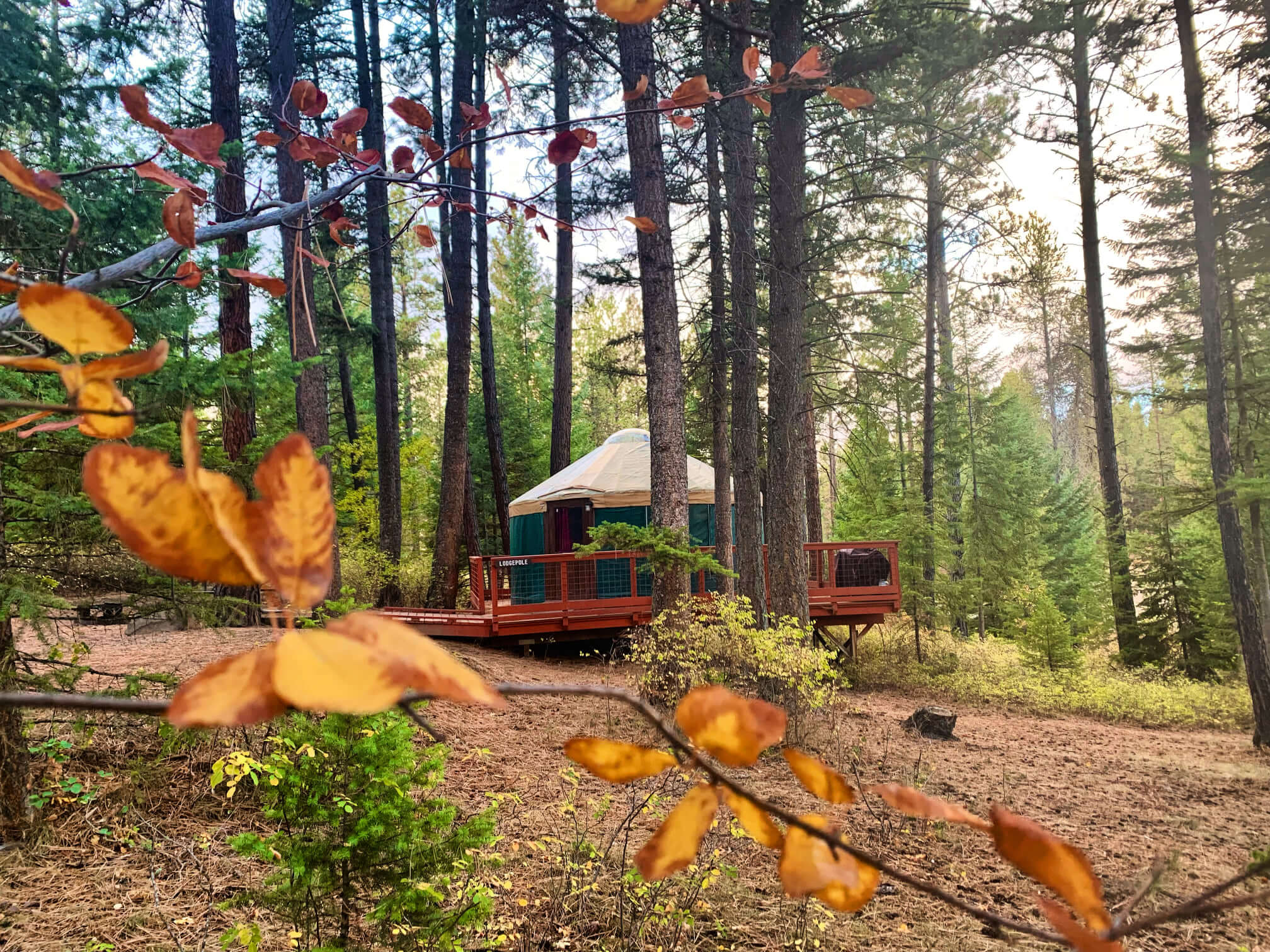 Yurt at Winchester Lake State Park.