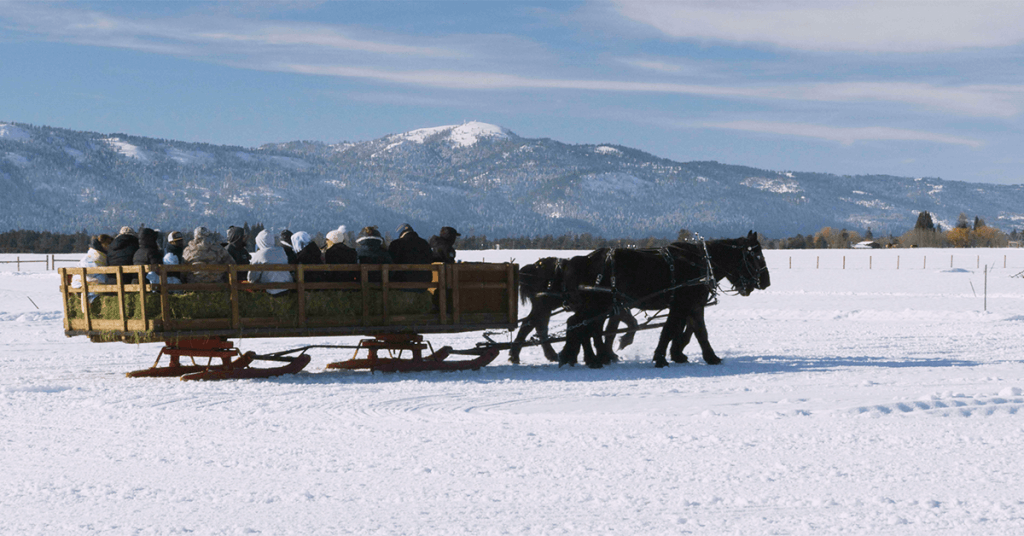 A team of horses pull a sleigh full of people in front of mountains.