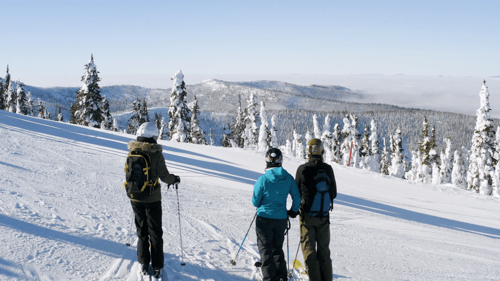 Three skiers overlook a ski run and snow-covered trees at Schweitzer.